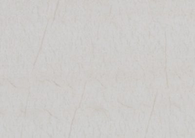 EXCLUSIVE WHITE QUARTZITE (C) (PLUS DISPONIBLE)